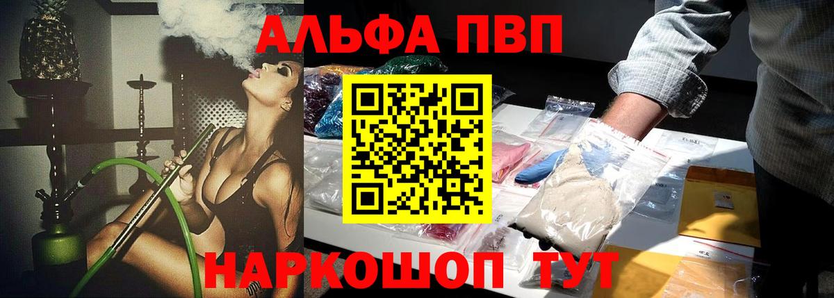 Alfa_PVP СК Кисловодск