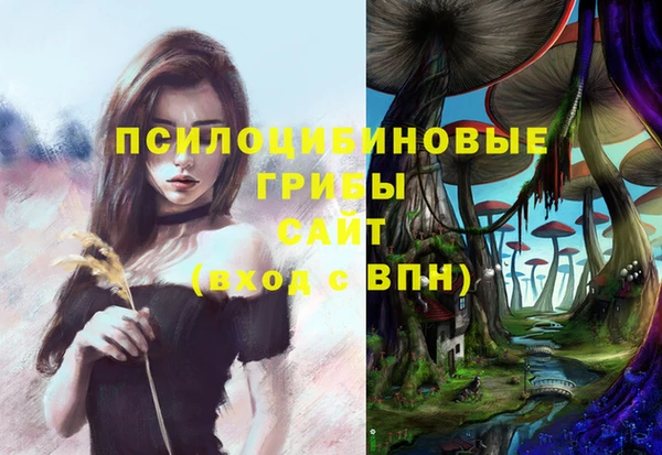 мяу мяу мука Алексеевка