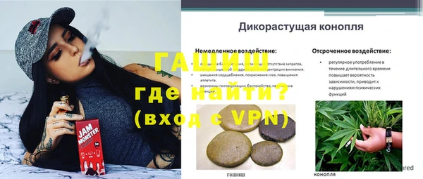 прущие крисы Надым