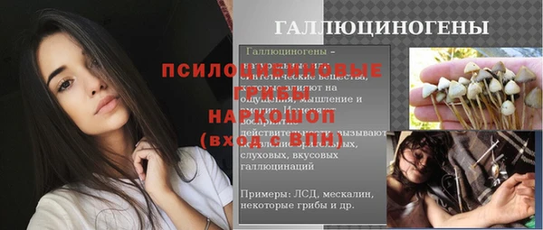 соль ск Нефтекумск