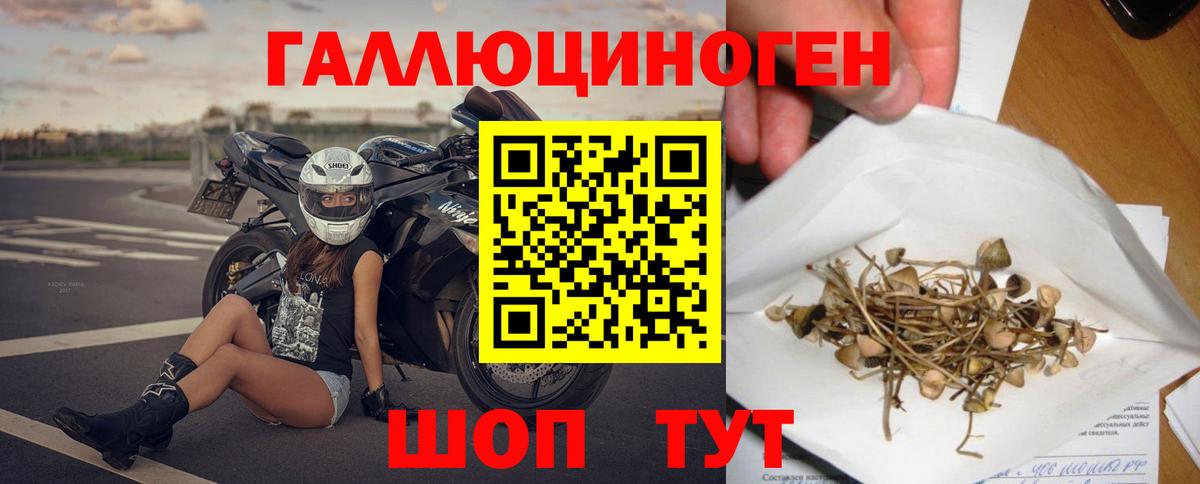 сколько стоит  Вход с VPN  Псилоцибиновые грибы MAGIC MUSHROOMS  Кисловодск  Галлюциногенные грибы Psilocybine cubensis 